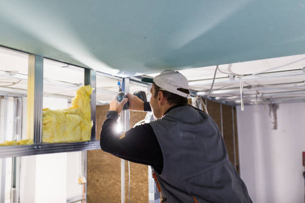 Best Blown-in Insulation  in Pulaski, VA