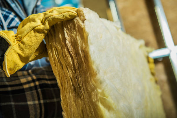 Best Home Insulation Services  in Pulaski, VA